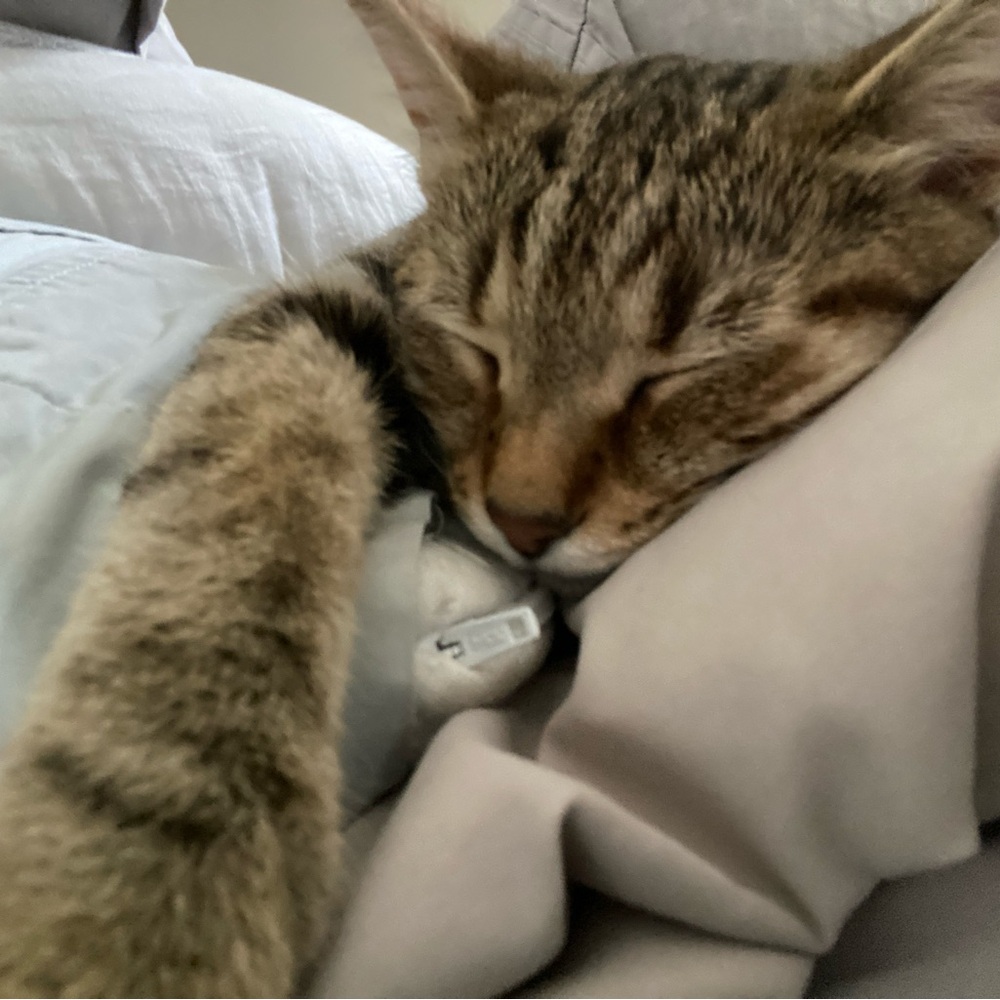 Meet your Posher, Maria